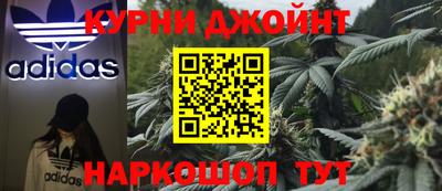 сатива Анжеро-Судженск