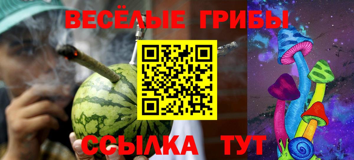 Бузулук  Псилоцибиновые грибы Psilocybe  Галлюциногенные грибы ЛСД  Вход с VPN 