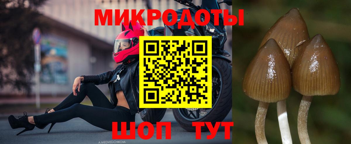 Галлюциногенные грибы MAGIC MUSHROOMS Бузулук